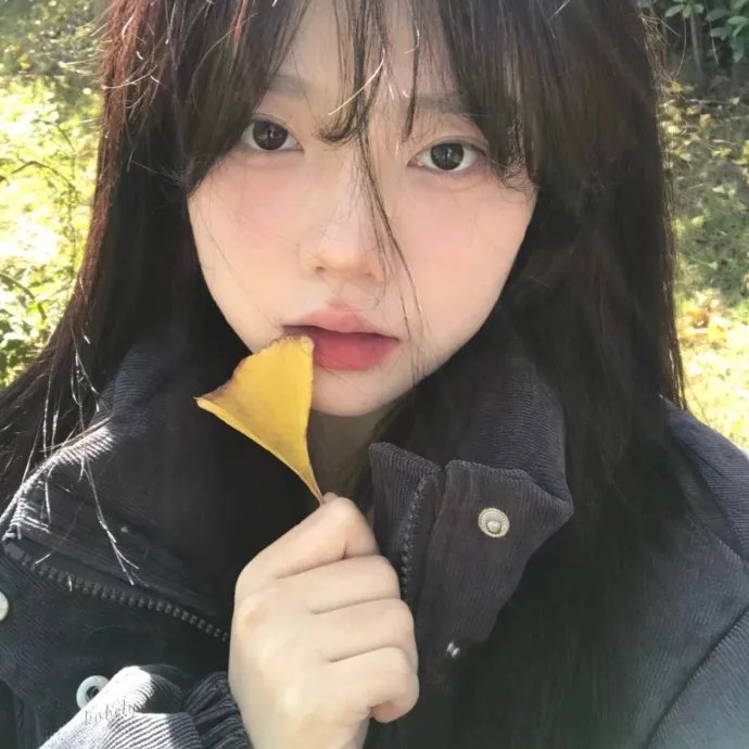 副总统第五季 海报