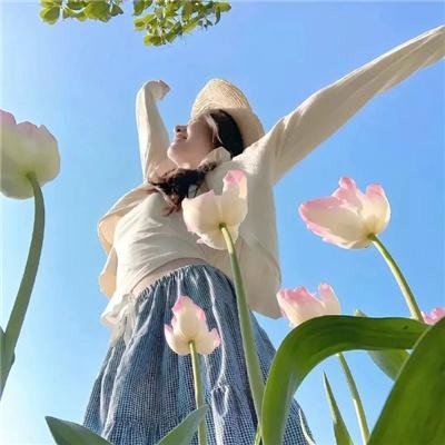 夏绿蒂的网2 韦柏历险记