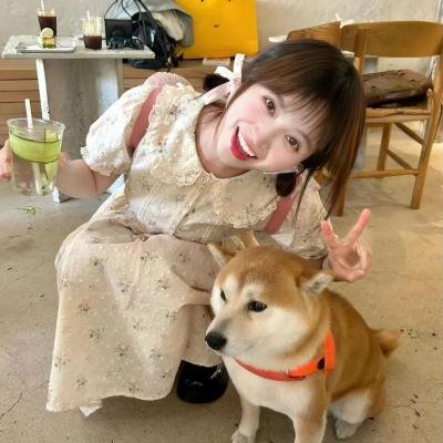 魑魅魍魉 海报